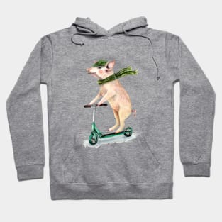 Piggy on a scooter Hoodie